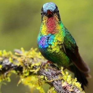 Meet your Posher, Jean-marc